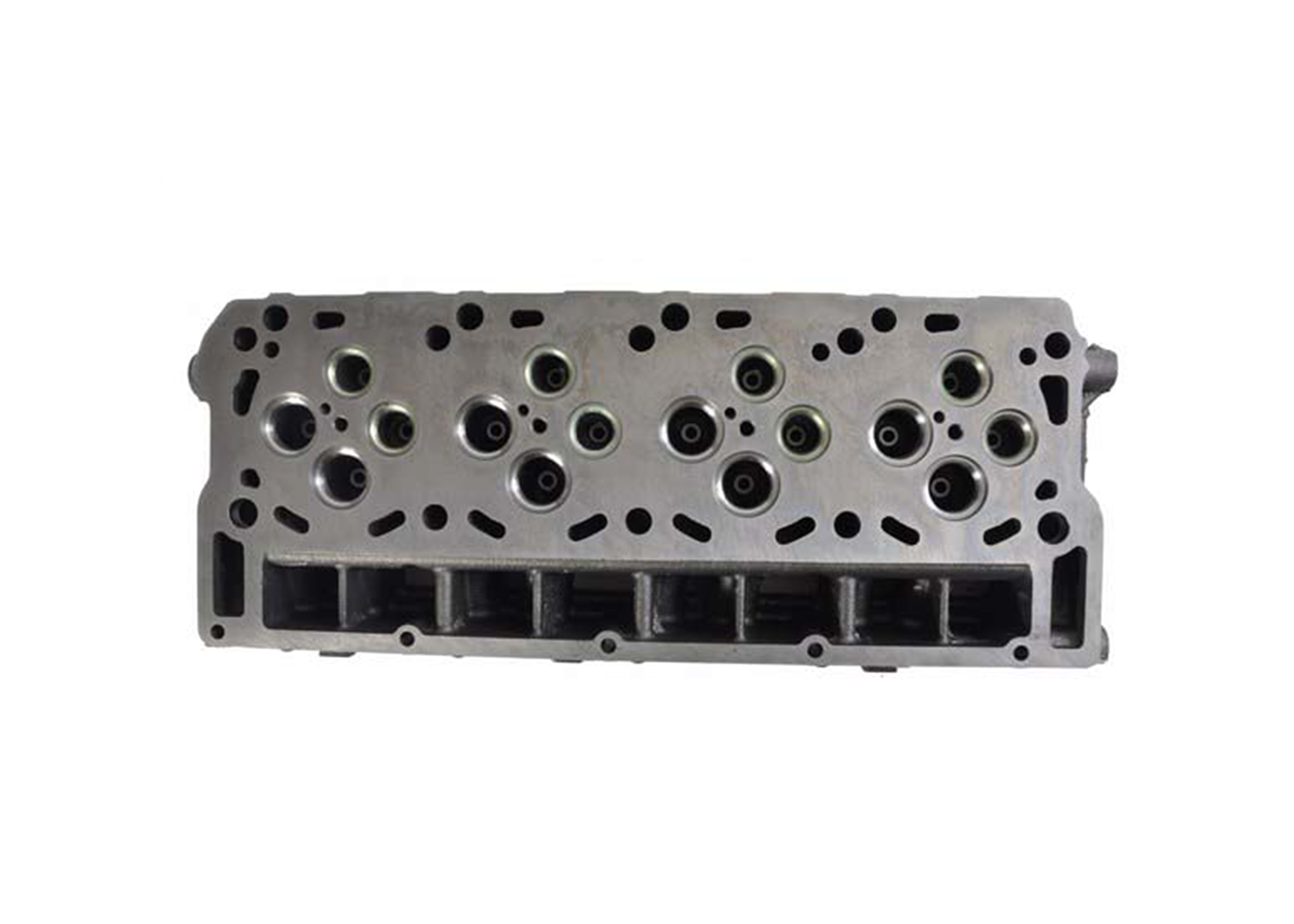 EHF365 2