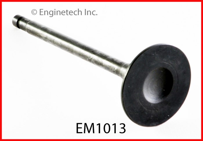 EM1013 2