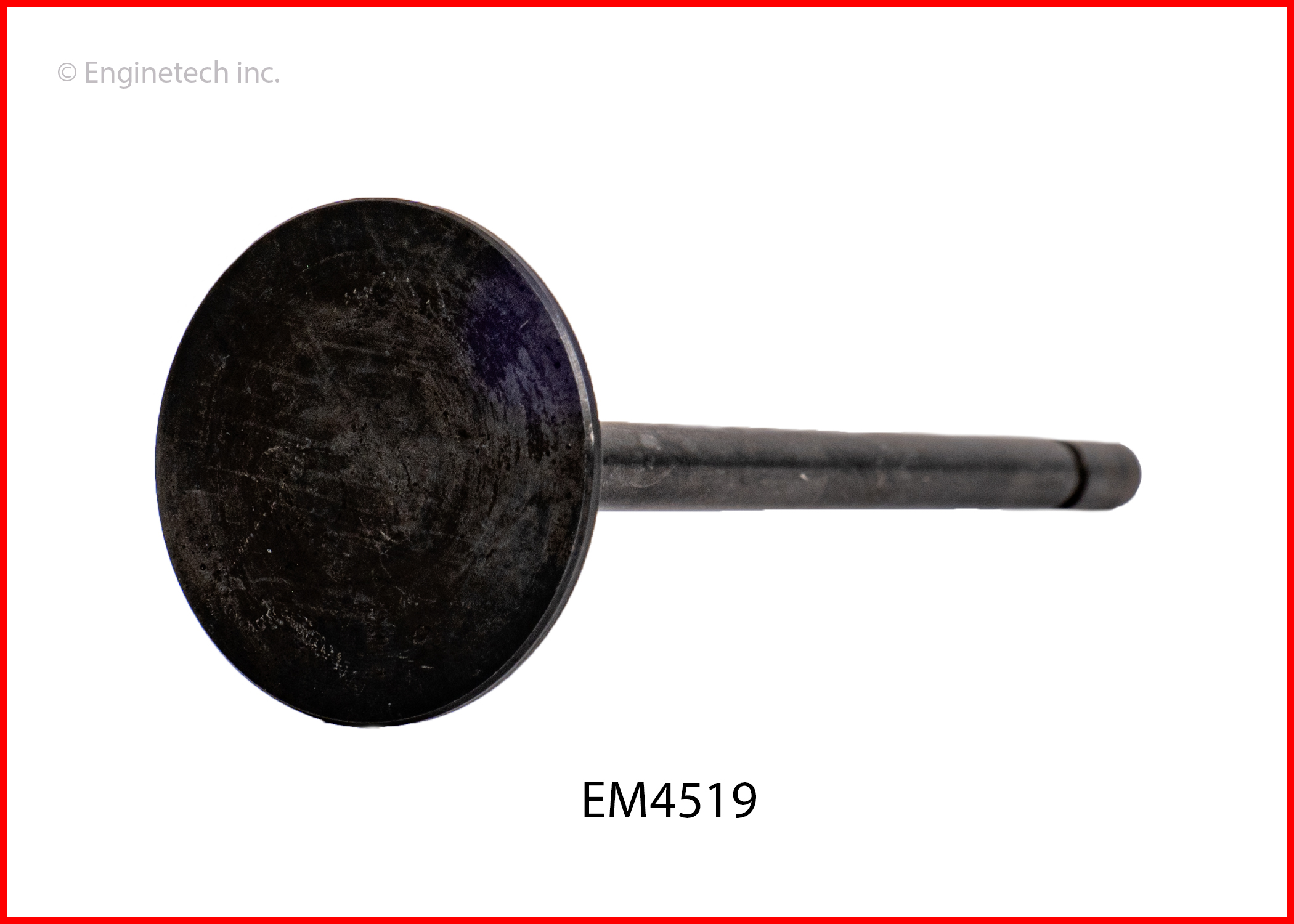 EM4519 2