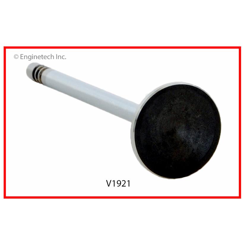 V1921 2