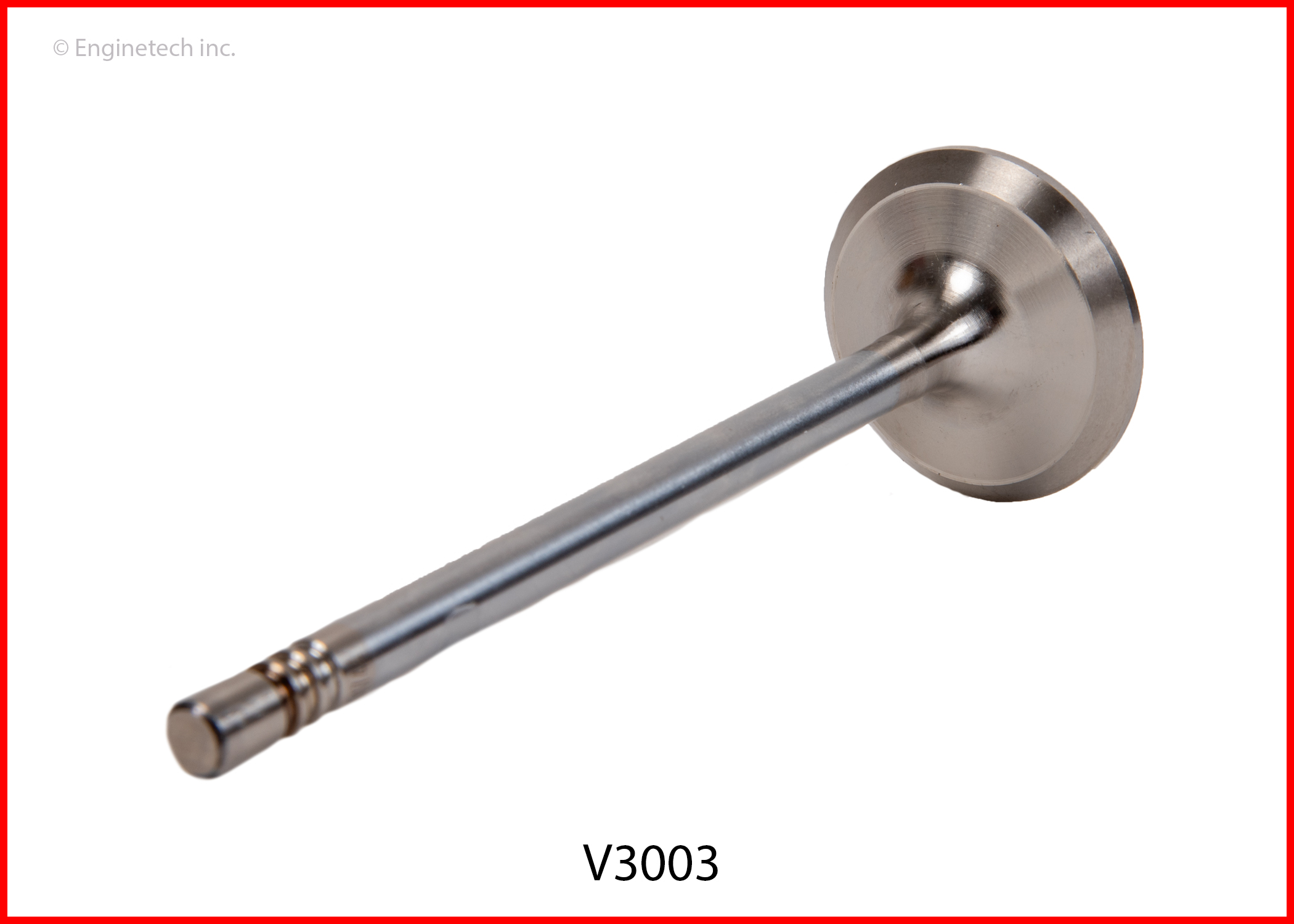 V3003 2