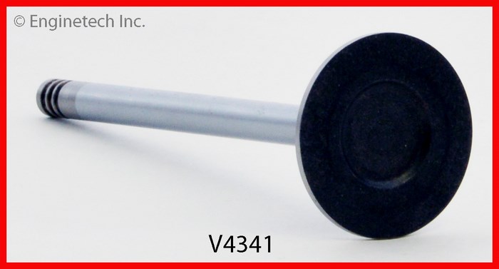 V4341 2
