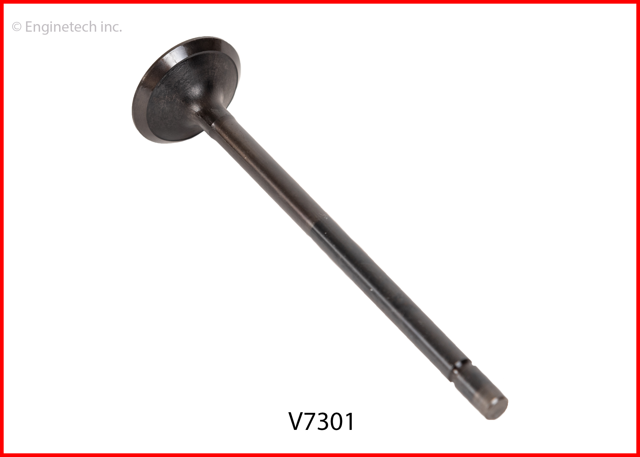 V7301 2